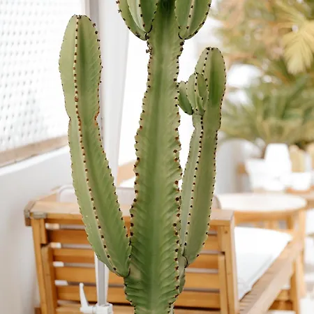 Hotel Emblematico F24-only Adults Santa Cruz de Tenerife