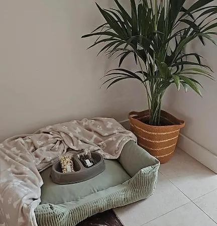 Hotell Emblematico F24-only Adults Santa Cruz de Tenerife